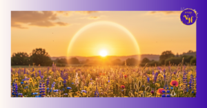 Sonnenwende LinkedIn