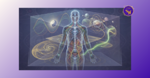 blog kinesiology 2_website